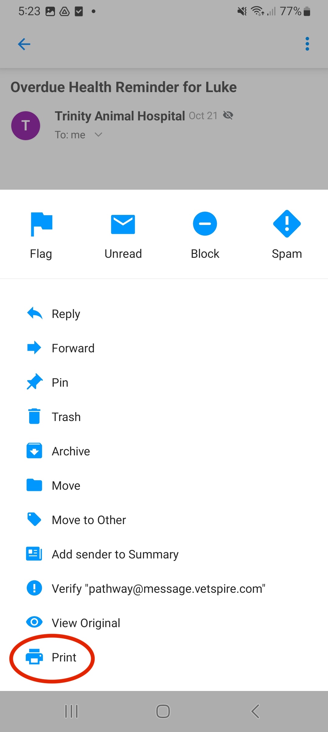 Android 3.jpg